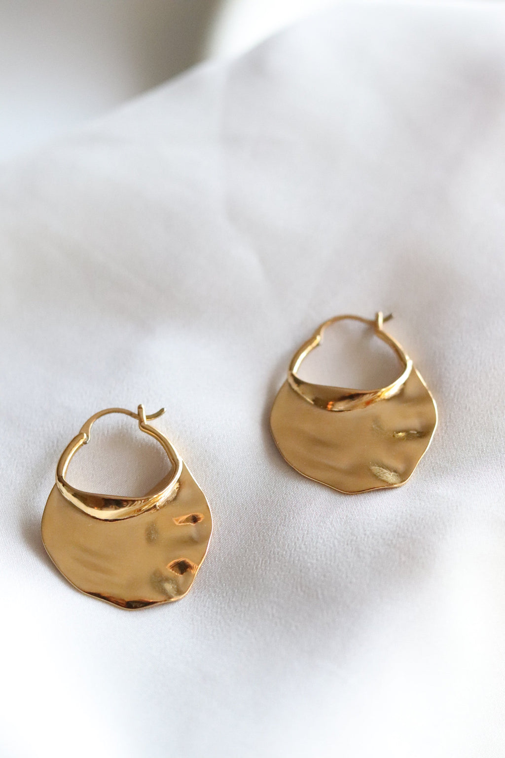 Austin Earrings - Stainless Steel - Gold plated Earrings