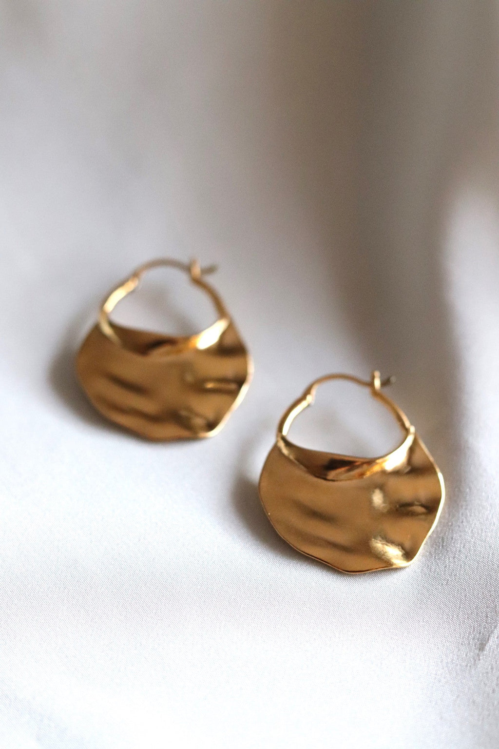 Austin Earrings - Stainless Steel - Gold plated Earrings