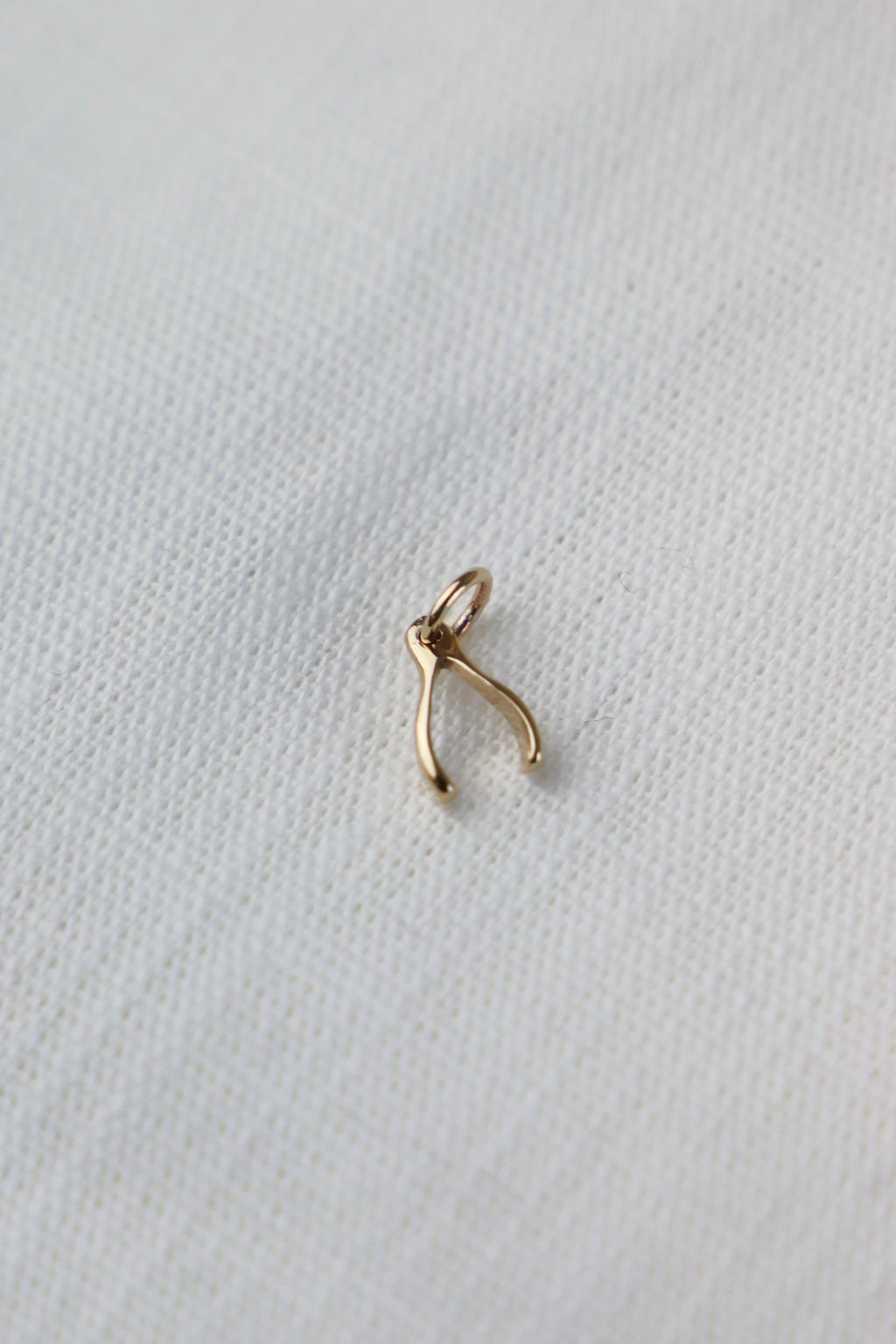 WISHBONE CHARM