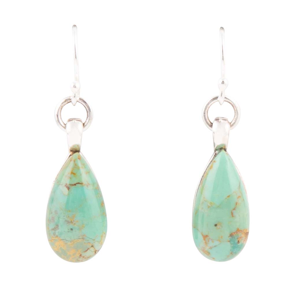 Bold Blue Turquoise and Sterling Silver Drop Earrings