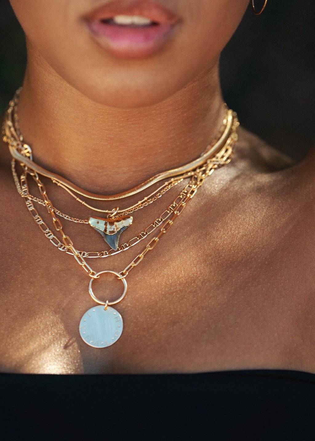 Gold Shark Tooth Necklace on Twin Dot Gold Snake Chain - Mano Niho Kahi Black II