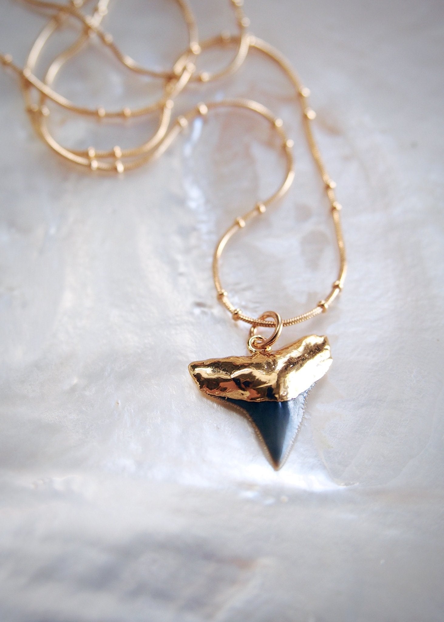 Gold Shark Tooth Necklace on Twin Dot Gold Snake Chain - Mano Niho Kahi Black II